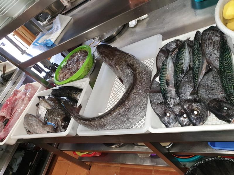 pescados en cocina